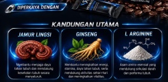 New Story